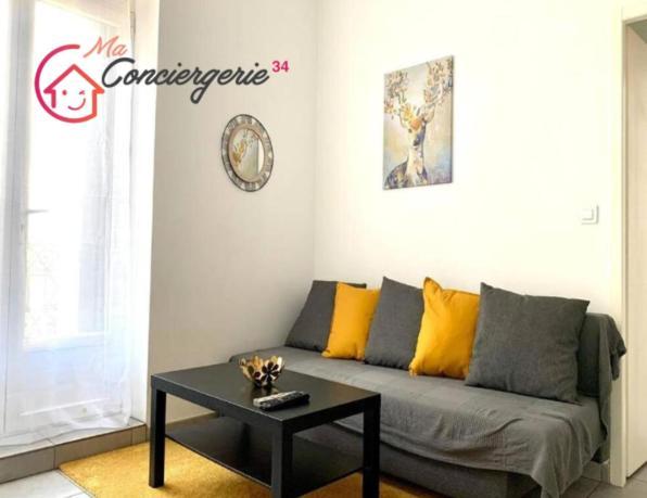 Appartement Confort Centre-Ville St Roch モンペリエ エクステリア 写真